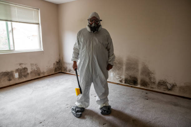 Water Damage Restoration in Terre Haute, IN